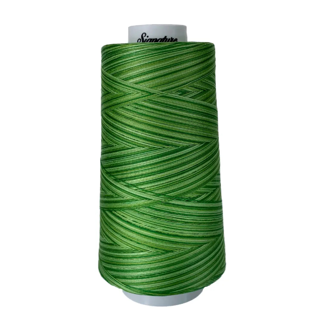 F259 Spring Grass Signature Cotton Variegated Thread - Linda's