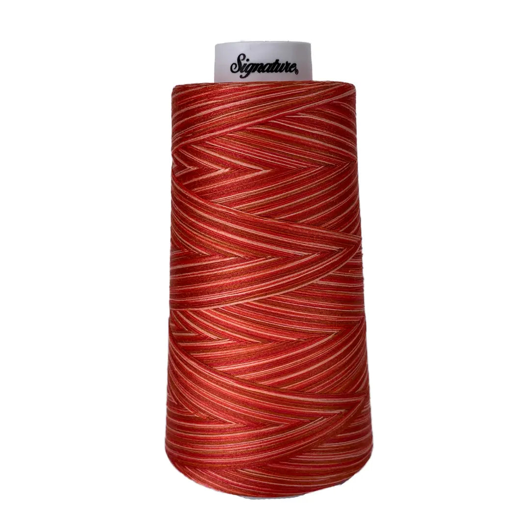 Variegated Thread Fe F262 Amber Glow Signature Cotton Variegated Thread - Linda's Electric