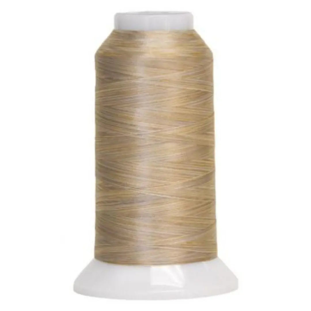 5002 Marble Fantastico Variegated Polyester Thread - Linda's Electric Quilters