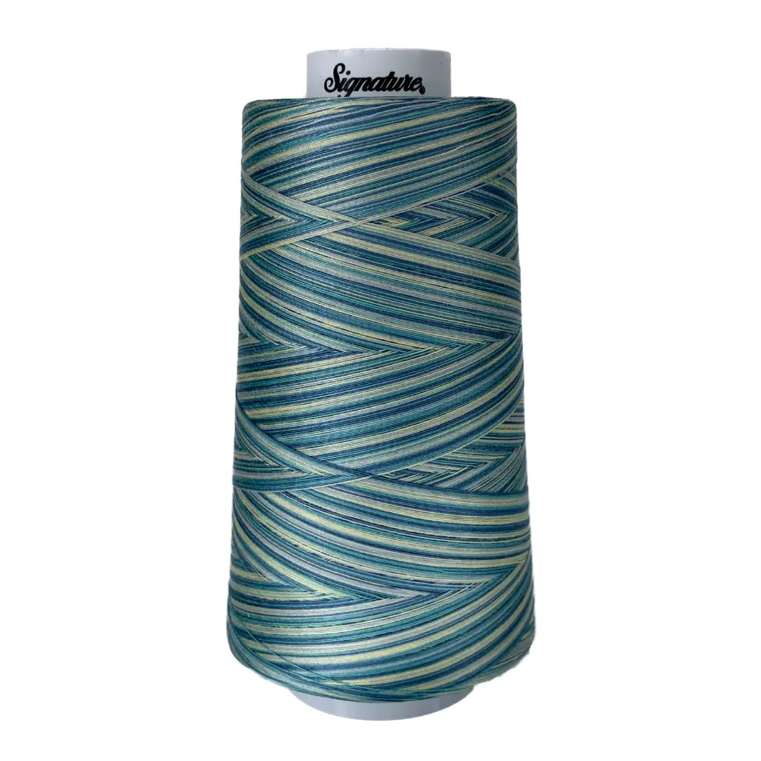 F151 St Thomas Signature Cotton Variegated Thread - Linda's Electric