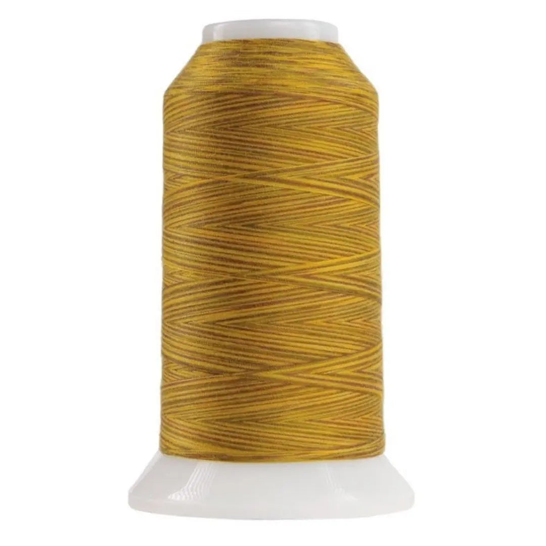 9130 Leo The Lion Omni Variegated Polyester Thread - Linda's Electric Quilters