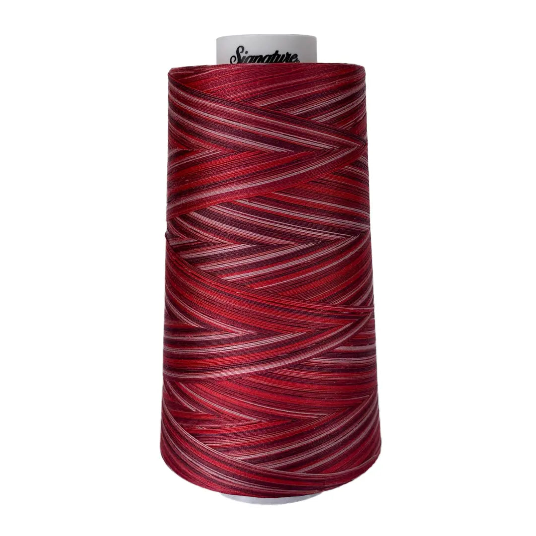 M15 Rose Petals Signature Cotton Variegated Thread - Linda's Electric