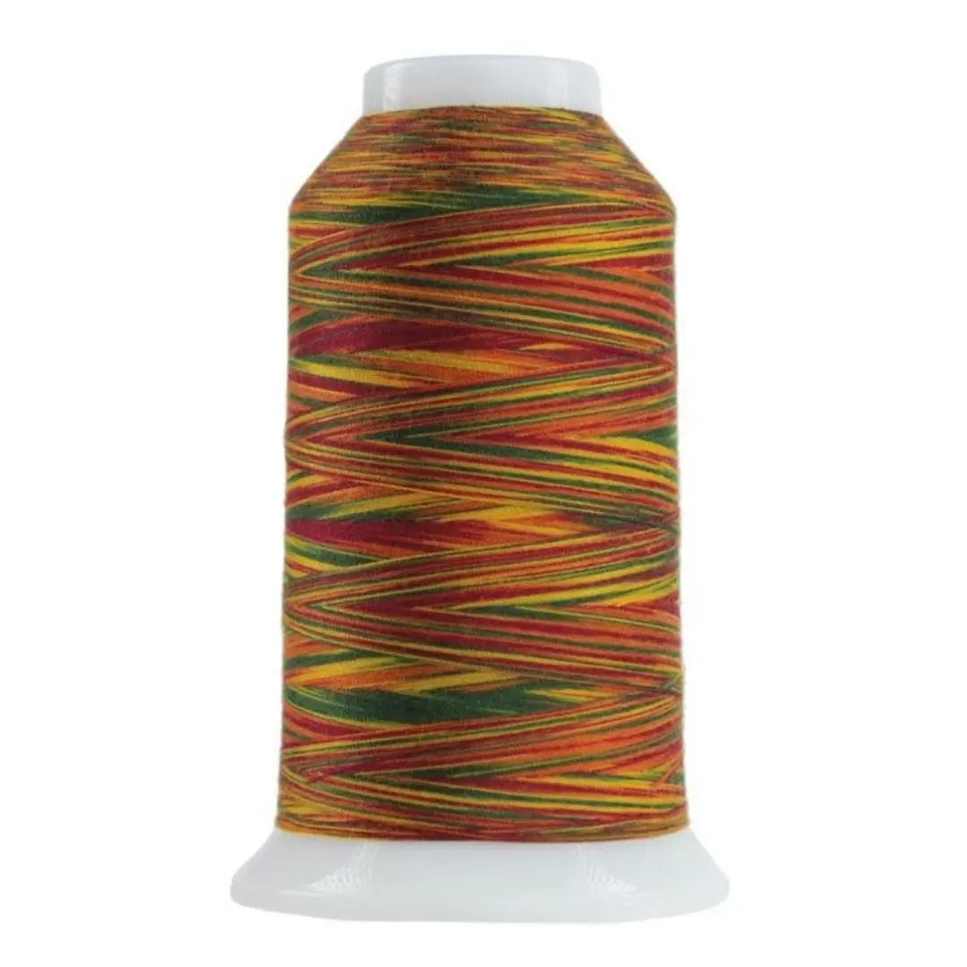 9150 Mix and Mingle Omni Variegated Polyester Thread - Linda's Electric Quilters