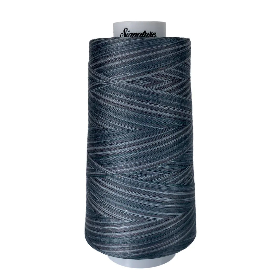M81 Smokey Blues Signature Cotton Variegated Thread - Linda's Electric Quilters