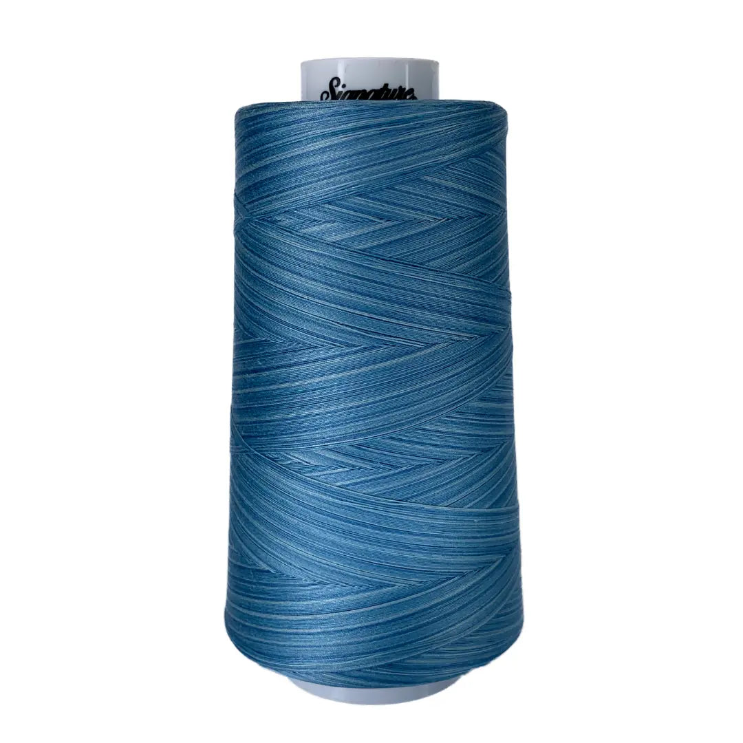 M82 Blue Skies Signature Cotton Variegated Thread - Linda's Electric Quilters