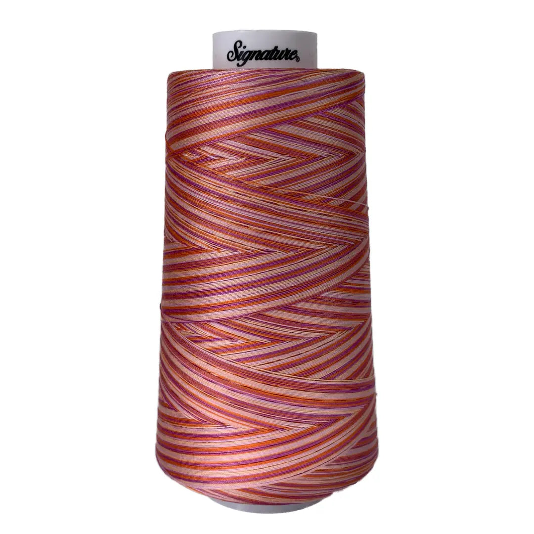 F154 Cotton Candy Signature Cotton Variegated Thread - Linda's Electric Quilters