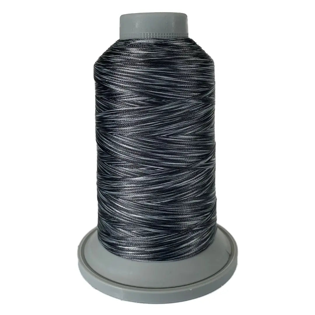60461 Zebra Affinity Variegated Polyester Thread - Linda's Electric Quilters