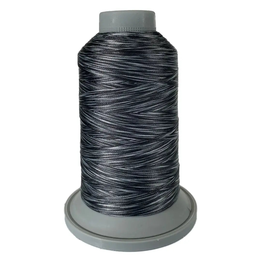 60461 Zebra Affinity Variegated Polyester Thread - Linda's Electric